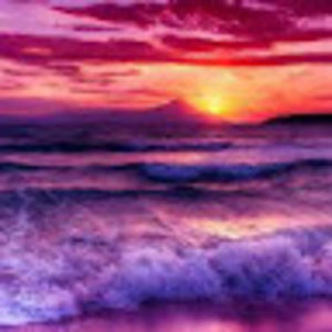 Meet your Posher, Jacey